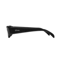 CRUISER SUNGLASSES [BLACK] — back view (2 of 5)