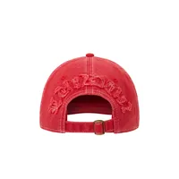 DIPLOMATIC CAP [RED], back view (2 of 3)